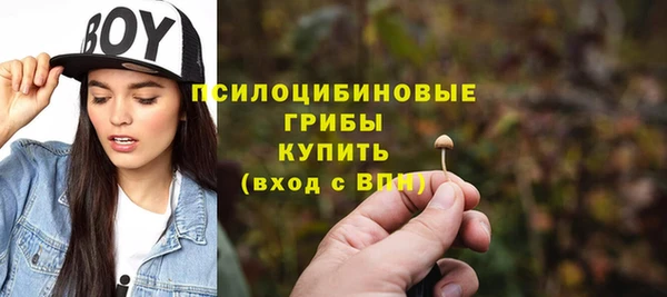 COCAINE Каменка