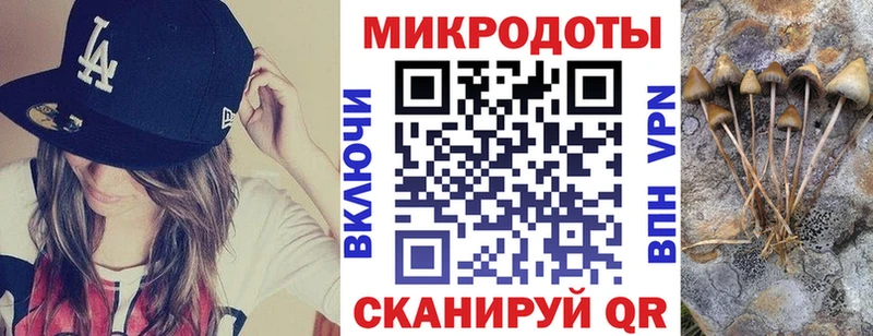 Псилоцибиновые грибы MAGIC MUSHROOMS  Купить  Дубовка 